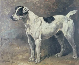 Um Jack Russell, 1891